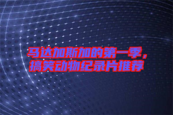 馬達(dá)加斯加的第一季，搞笑動(dòng)物紀(jì)錄片推薦