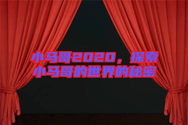 小馬哥2020，探索小馬哥的世界的秘密