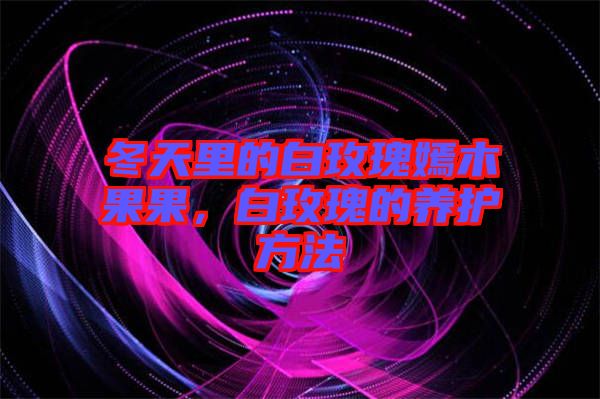 冬天里的白玫瑰嫣木果果，白玫瑰的養(yǎng)護方法