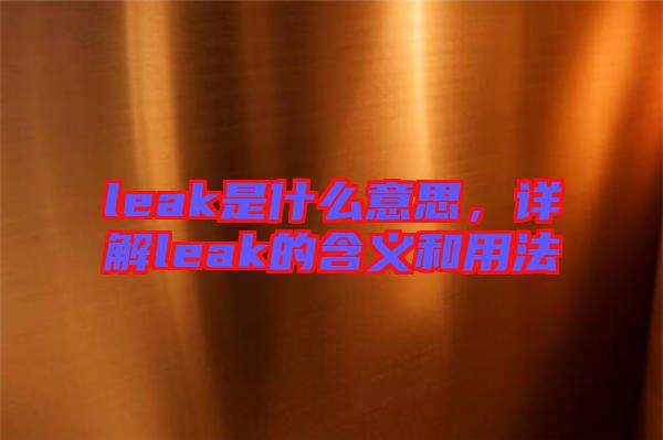 leak是什么意思，詳解leak的含義和用法