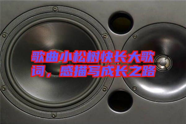 歌曲小松樹快長(zhǎng)大歌詞，感描寫成長(zhǎng)之路