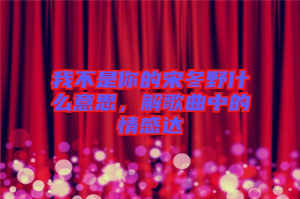 我不是你的宋冬野什么意思，解歌曲中的情感達(dá)