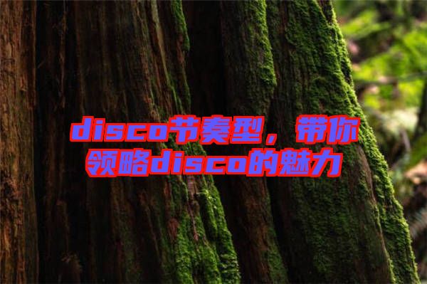 disco節(jié)奏型，帶你領(lǐng)略disco的魅力