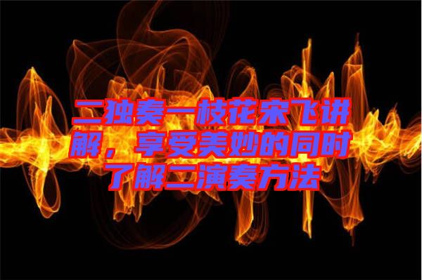 二獨(dú)奏一枝花宋飛講解，享受美妙的同時(shí)了解二演奏方法