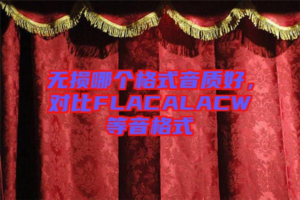 無損哪個格式音質好，對比FLACALACW等音格式