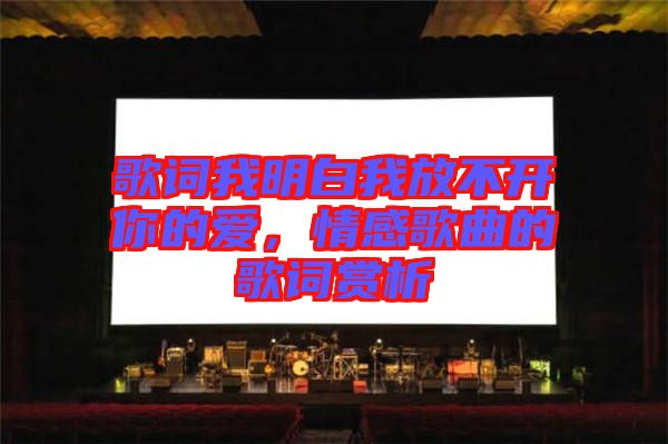 歌詞我明白我放不開你的愛，情感歌曲的歌詞賞析