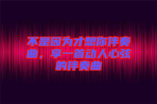 不是因為才想你伴奏曲，享一首動人心弦的伴奏曲