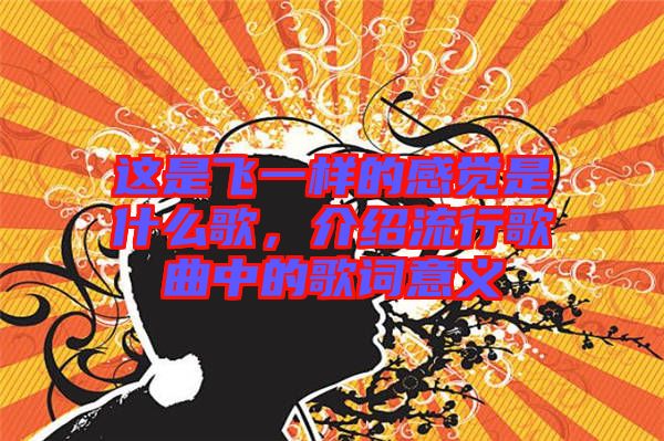 這是飛一樣的感覺(jué)是什么歌，介紹流行歌曲中的歌詞意義