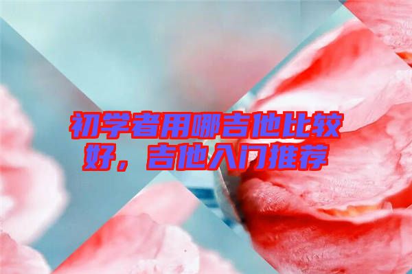 初學(xué)者用哪吉他比較好，吉他入門推薦