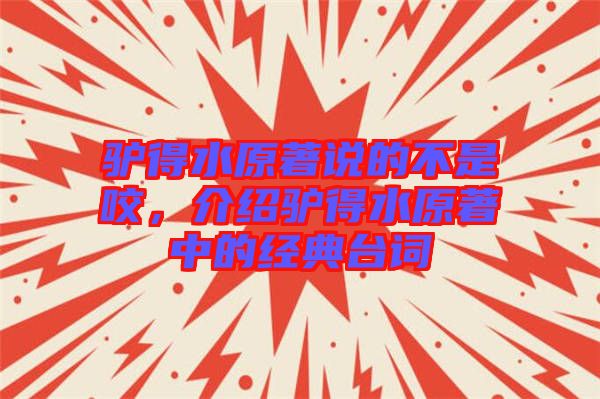 驢得水原著說的不是咬，介紹驢得水原著中的經(jīng)典臺詞