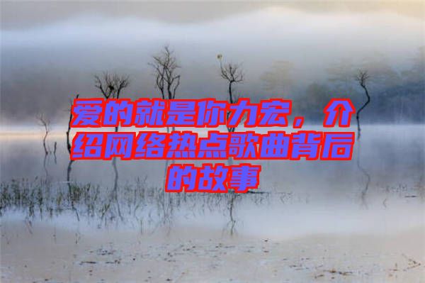 愛的就是你力宏，介紹網(wǎng)絡(luò)熱點歌曲背后的故事