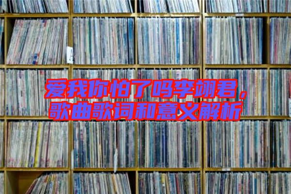 愛我你怕了嗎李翊君，歌曲歌詞和意義解析