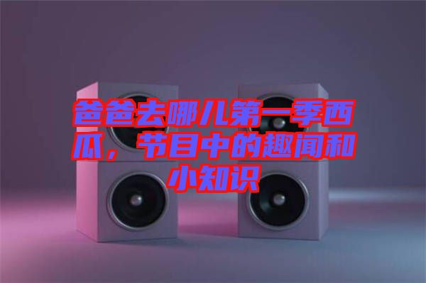 爸爸去哪兒第一季西瓜，節(jié)目中的趣聞和小知識(shí)