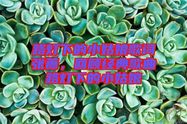 路燈下的小姑娘歌詞張薔，回顧經(jīng)典歌曲路燈下的小姑娘