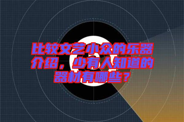 比較文藝小眾的樂器介紹，少有人知道的器材有哪些？