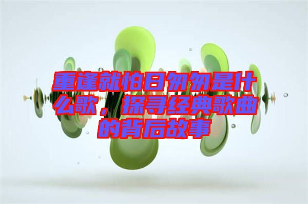 重逢就怕日匆匆是什么歌，探尋經(jīng)典歌曲的背后故事