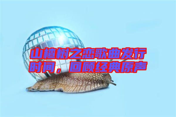 山楂樹之戀歌曲發(fā)行時間，回顧經典原聲