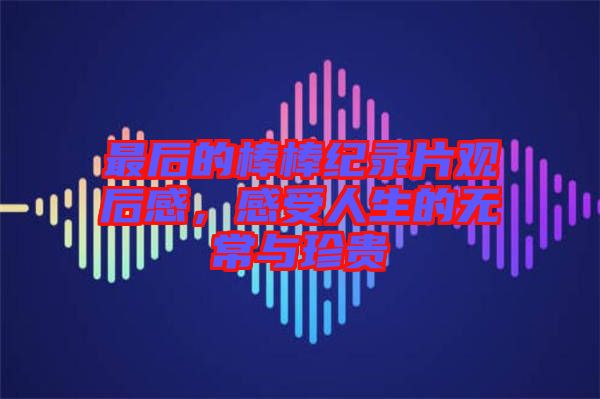 最后的棒棒紀錄片觀后感，感受人生的無常與珍貴