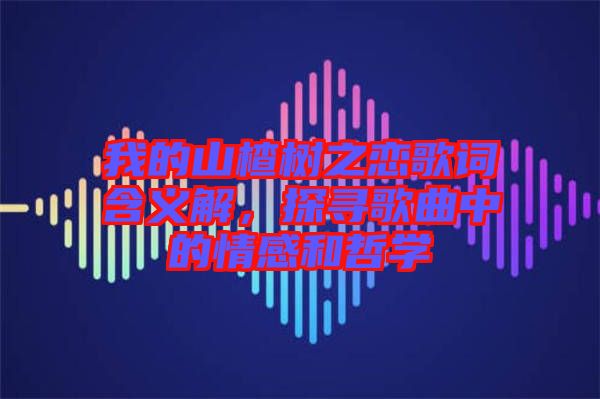 我的山楂樹(shù)之戀歌詞含義解，探尋歌曲中的情感和哲學(xué)