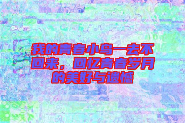 我的青春小鳥一去不回來，回憶青春歲月的美好與遺憾