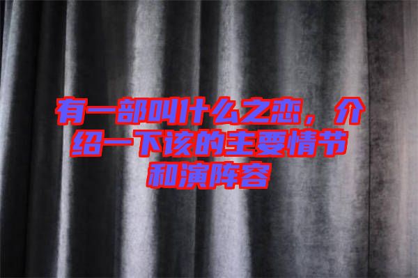 有一部叫什么之戀，介紹一下該的主要情節(jié)和演陣容