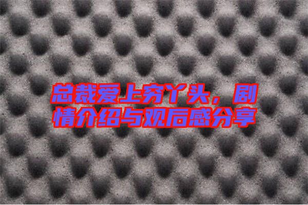 總裁愛上窮丫頭，劇情介紹與觀后感分享