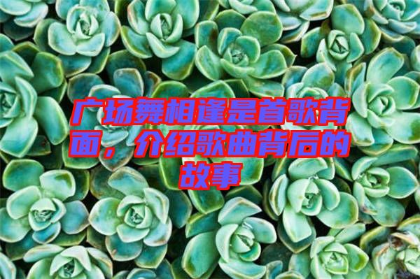 廣場(chǎng)舞相逢是首歌背面，介紹歌曲背后的故事