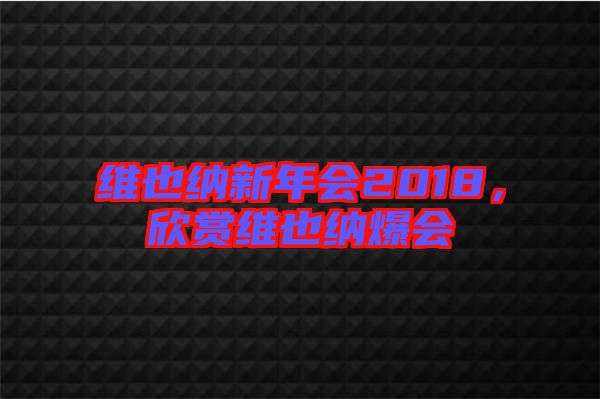 維也納新年會2018，欣賞維也納爆會