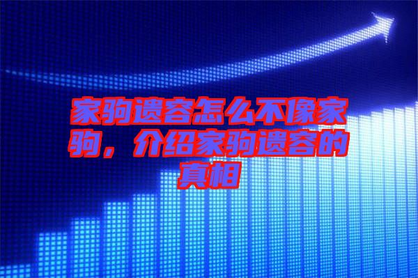 家駒遺容怎么不像家駒，介紹家駒遺容的真相