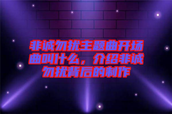 非誠(chéng)勿擾主題曲開場(chǎng)曲叫什么，介紹非誠(chéng)勿擾背后的制作