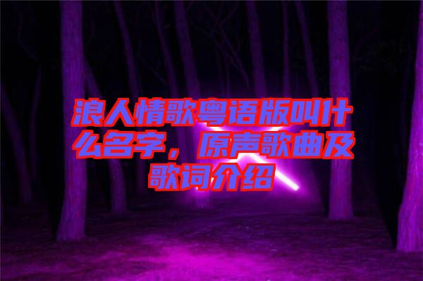 浪人情歌粵語版叫什么名字，原聲歌曲及歌詞介紹