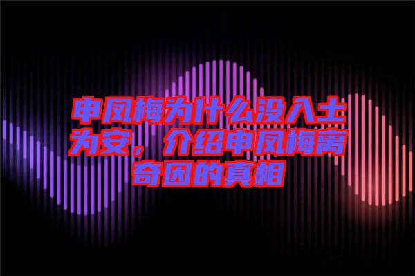 申鳳梅為什么沒入土為安，介紹申鳳梅離奇因的真相