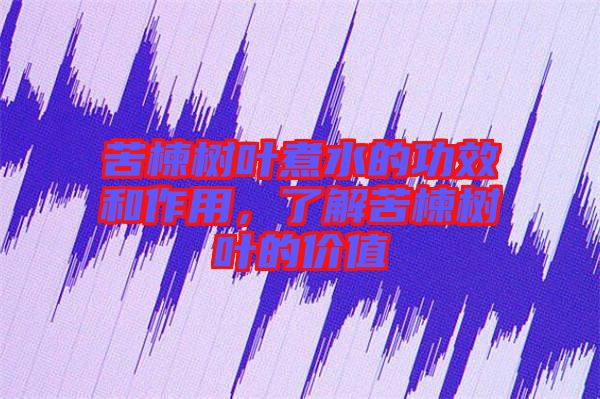 苦楝樹葉煮水的功效和作用，了解苦楝樹葉的價(jià)值