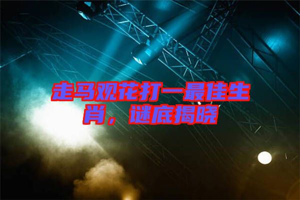 走馬觀花打一最佳生肖，謎底揭曉