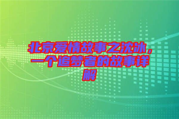 北京愛情故事之沈冰，一個(gè)追夢(mèng)者的故事詳解