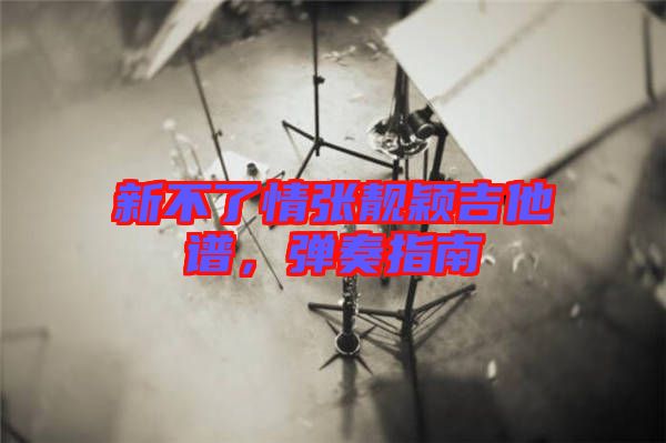 新不了情張靚穎吉他譜，彈奏指南