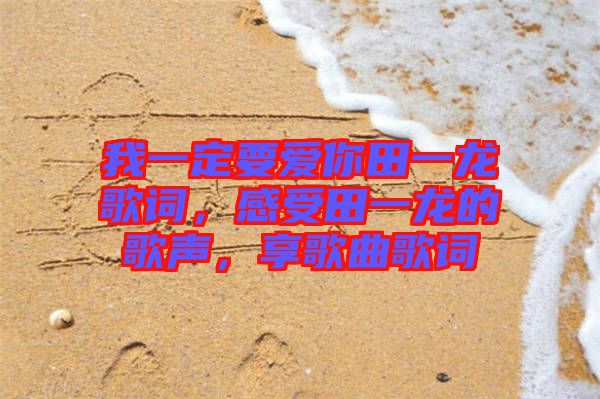 我一定要愛(ài)你田一龍歌詞，感受田一龍的歌聲，享歌曲歌詞