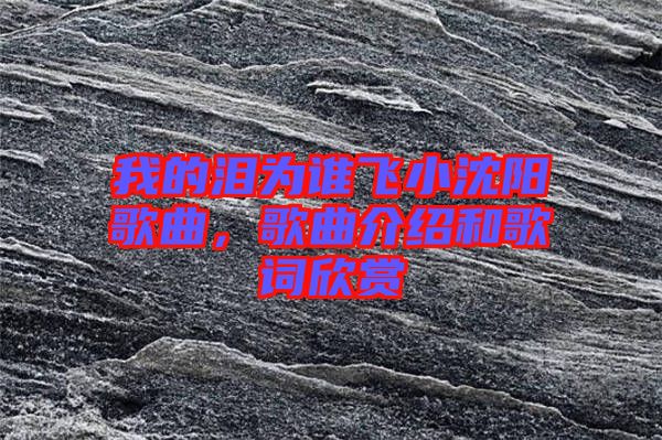 我的淚為誰飛小沈陽歌曲，歌曲介紹和歌詞欣賞