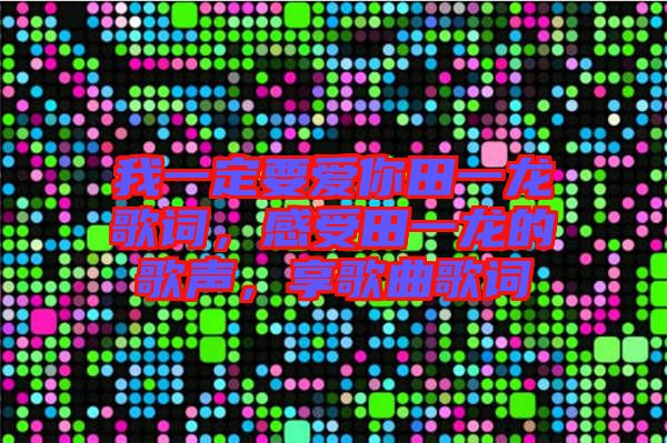 我一定要愛(ài)你田一龍歌詞，感受田一龍的歌聲，享歌曲歌詞