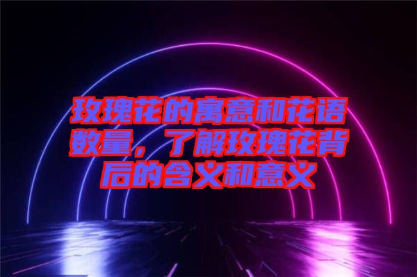玫瑰花的寓意和花語數(shù)量，了解玫瑰花背后的含義和意義