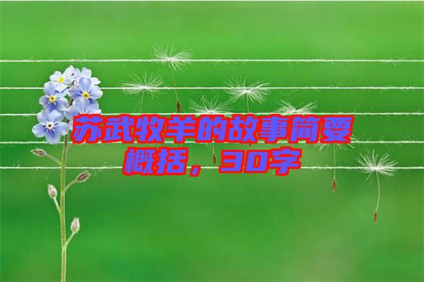 蘇武牧羊的故事簡要概括，30字