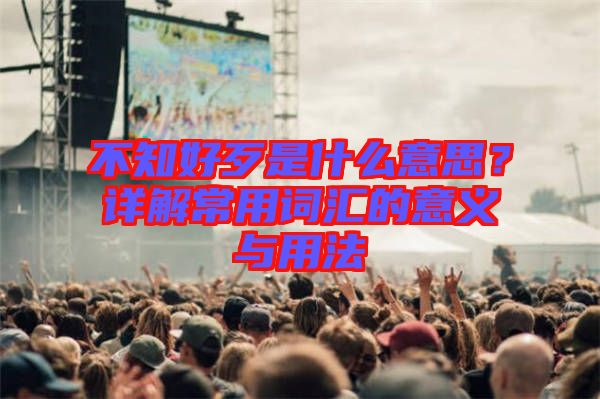 不知好歹是什么意思？詳解常用詞匯的意義與用法