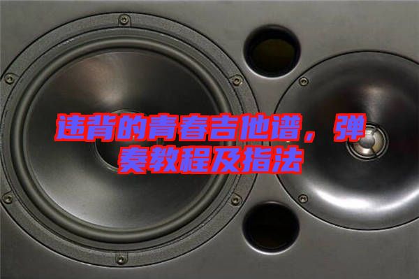 違背的青春吉他譜，彈奏教程及指法