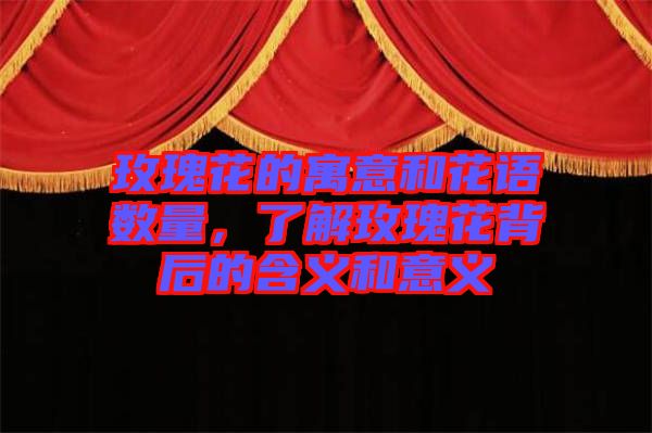 玫瑰花的寓意和花語(yǔ)數(shù)量，了解玫瑰花背后的含義和意義