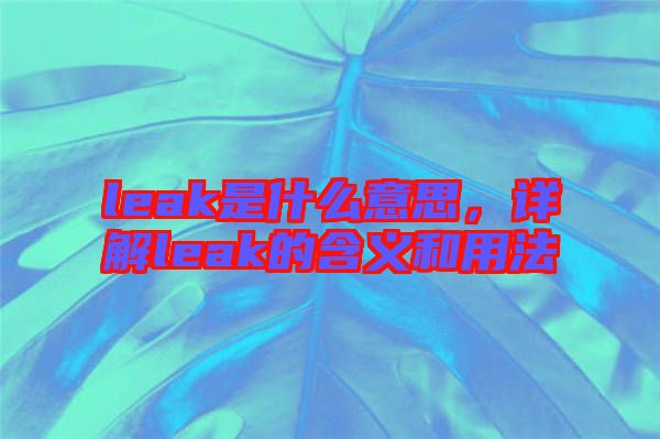 leak是什么意思，詳解leak的含義和用法