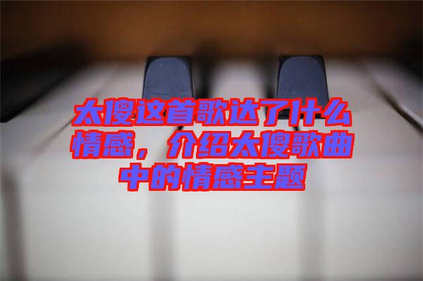 太傻這首歌達了什么情感，介紹太傻歌曲中的情感主題