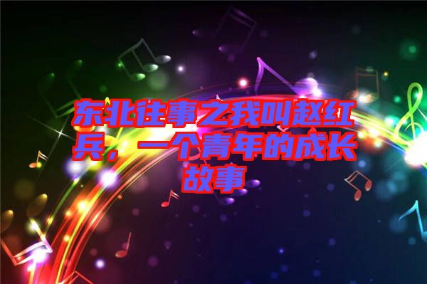 東北往事之我叫趙紅兵，一個(gè)青年的成長故事
