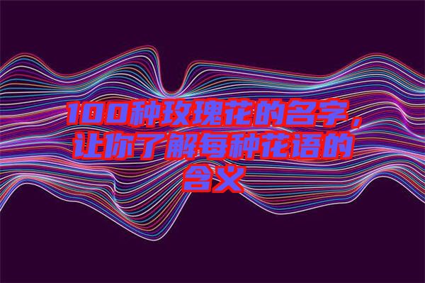 100種玫瑰花的名字，讓你了解每種花語的含義