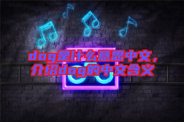 dog是什么意思中文，介紹dog的中文含義