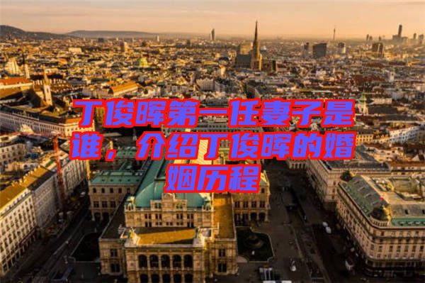 丁俊暉第一任妻子是誰，介紹丁俊暉的婚姻歷程